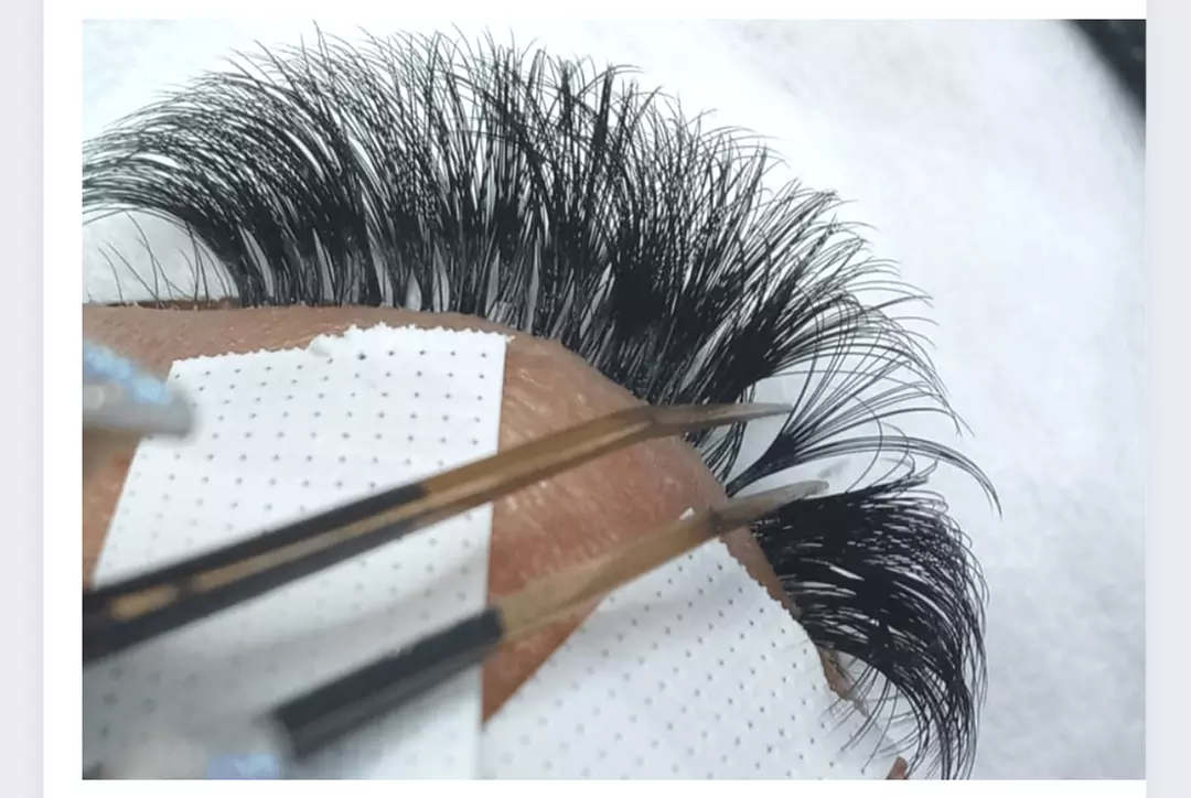 Classic and Volume Training: Everything Lashes Ebook Online Class at Lynette Lashes ( 35% Off) - Primary Image