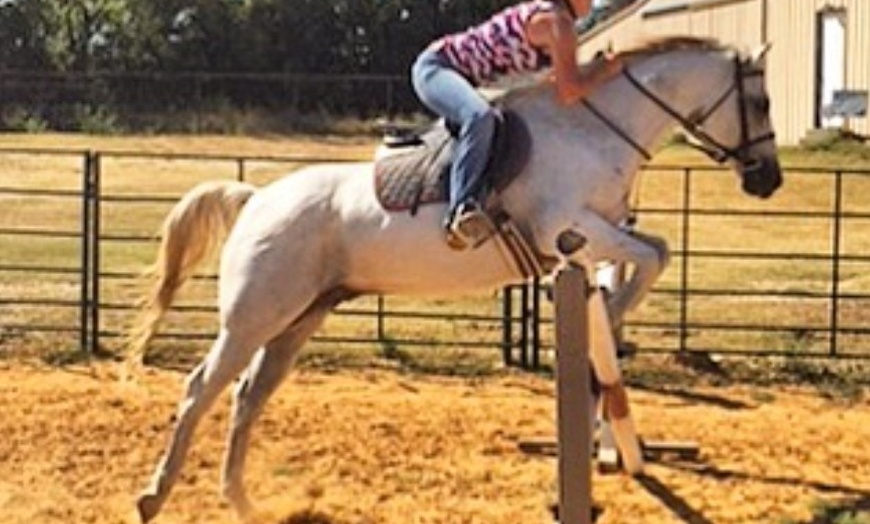 Image 3: Up to 53% Off on Horse Back Riding at Cobb Creek Riding Academy