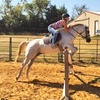 Image 3: Up to 53% Off on Horse Back Riding at Cobb Creek Riding Academy