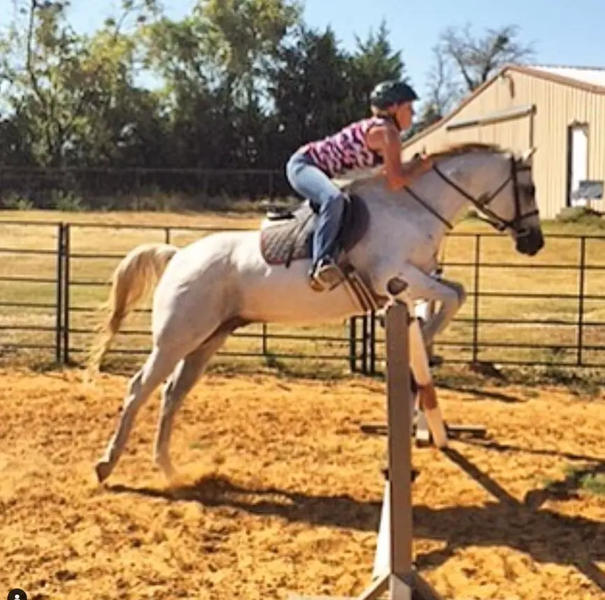 From Saddle to Stable: Riding & Horsemanship Packages