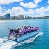 Image 6: Two-Hour Whale Watching Cruise at Waikiki Snorkel Company