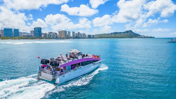 What to expect media