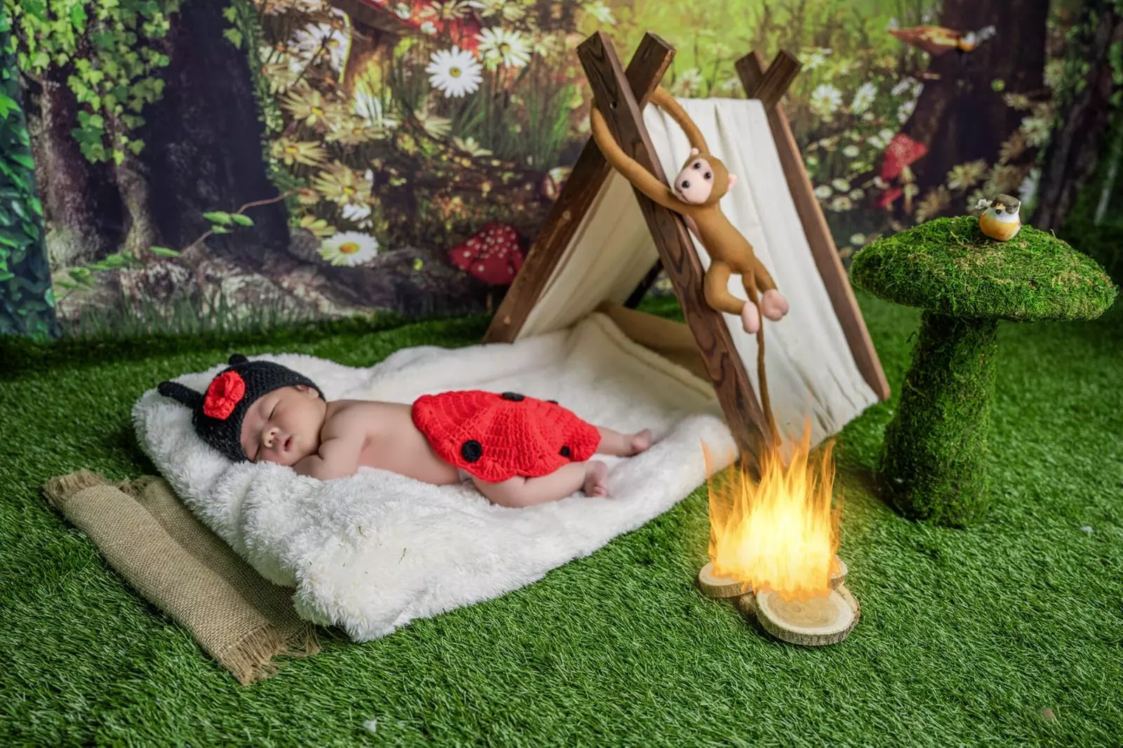 30 or 45-Min In-Studio Newborn Photography + 3 Digital Images