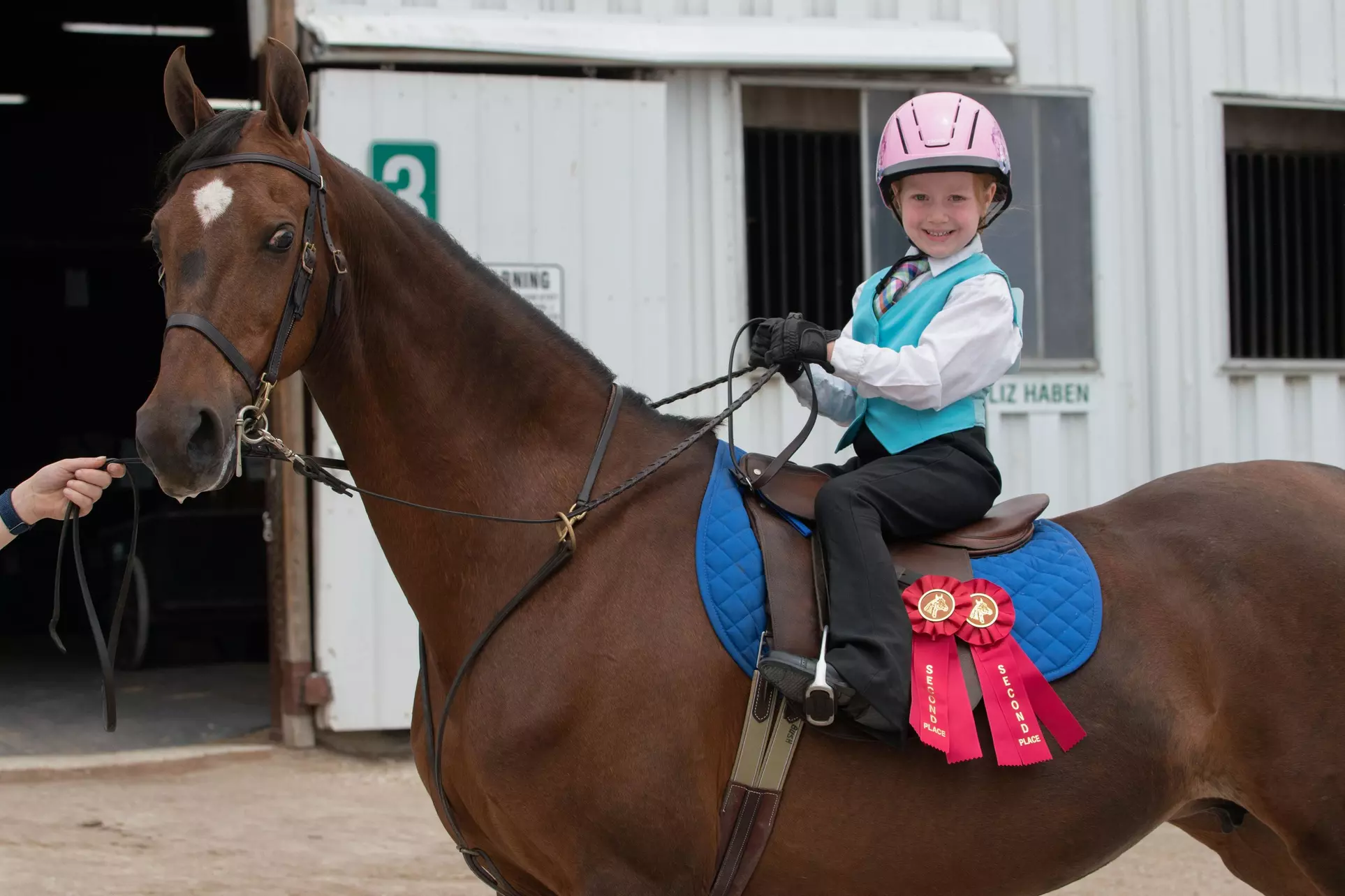 Up to 42% Off on Equestrian Experience at janet green stables - Primary Image