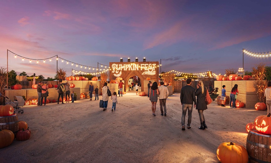 Image 4: Up to 30% Off Platinum Pumpkin Fest at the Princess Package