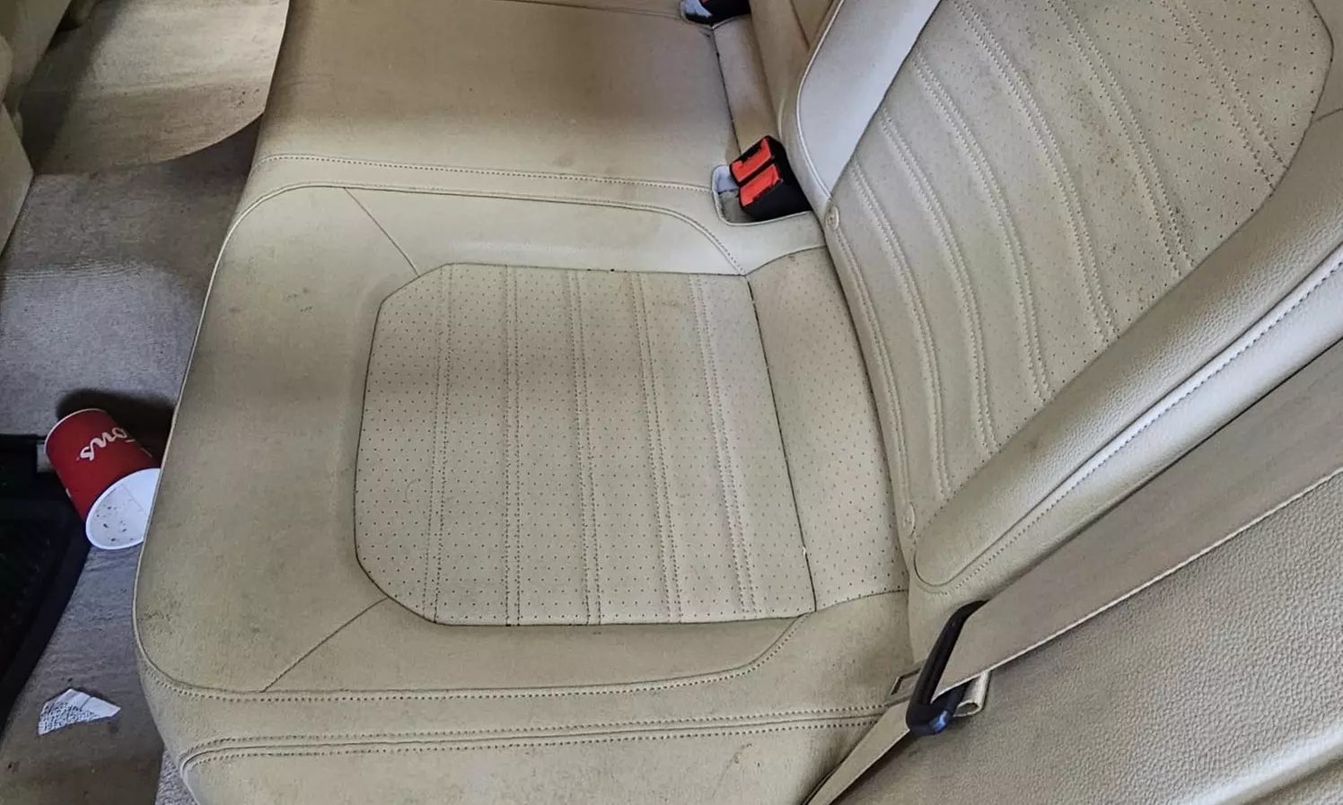 Premium Refresh Detail for 7-Seater SUVs/Sedans/Hatchbacks and More