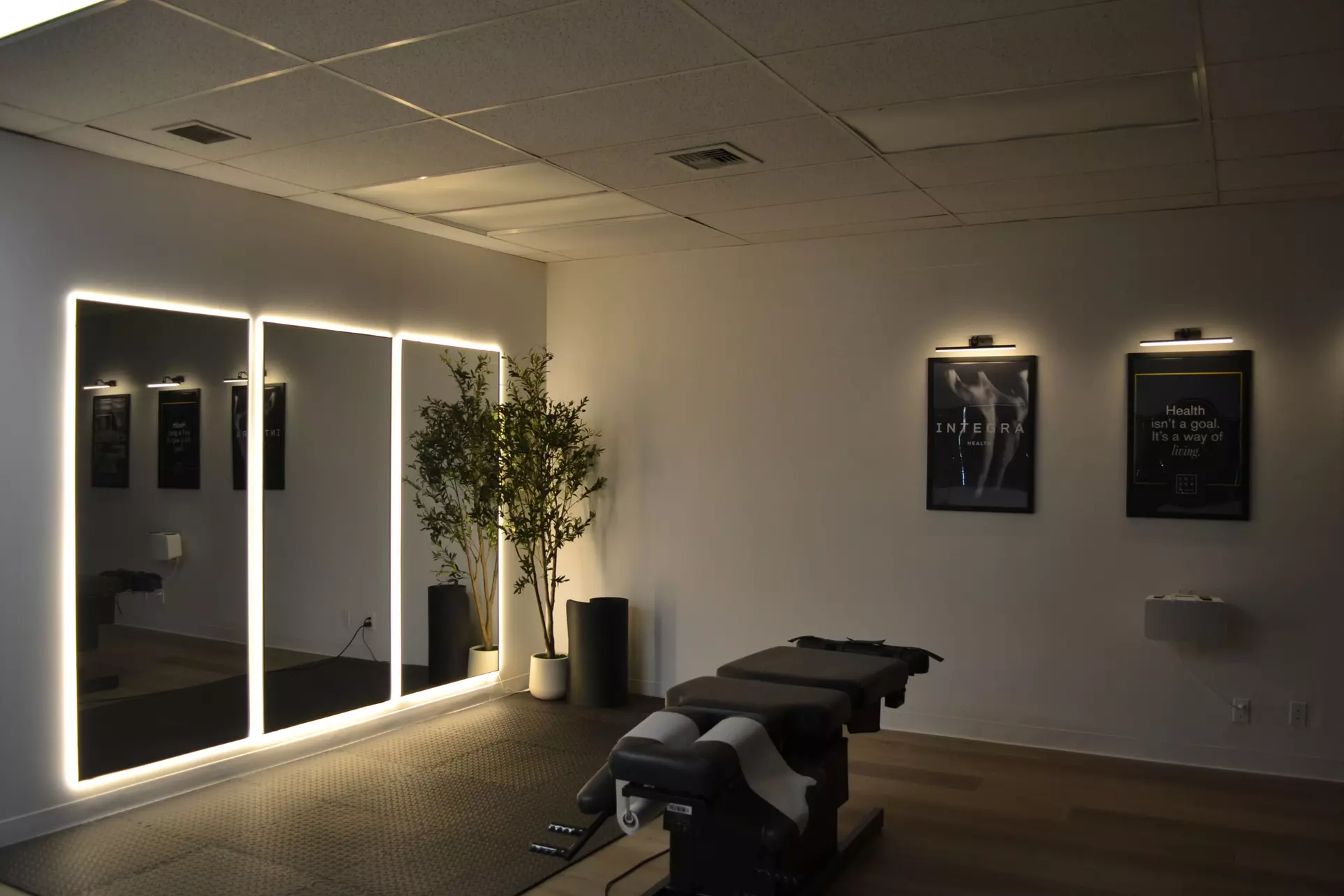 INTEGRA Premium Upgrade: Assessment with Chiropractic and Massage