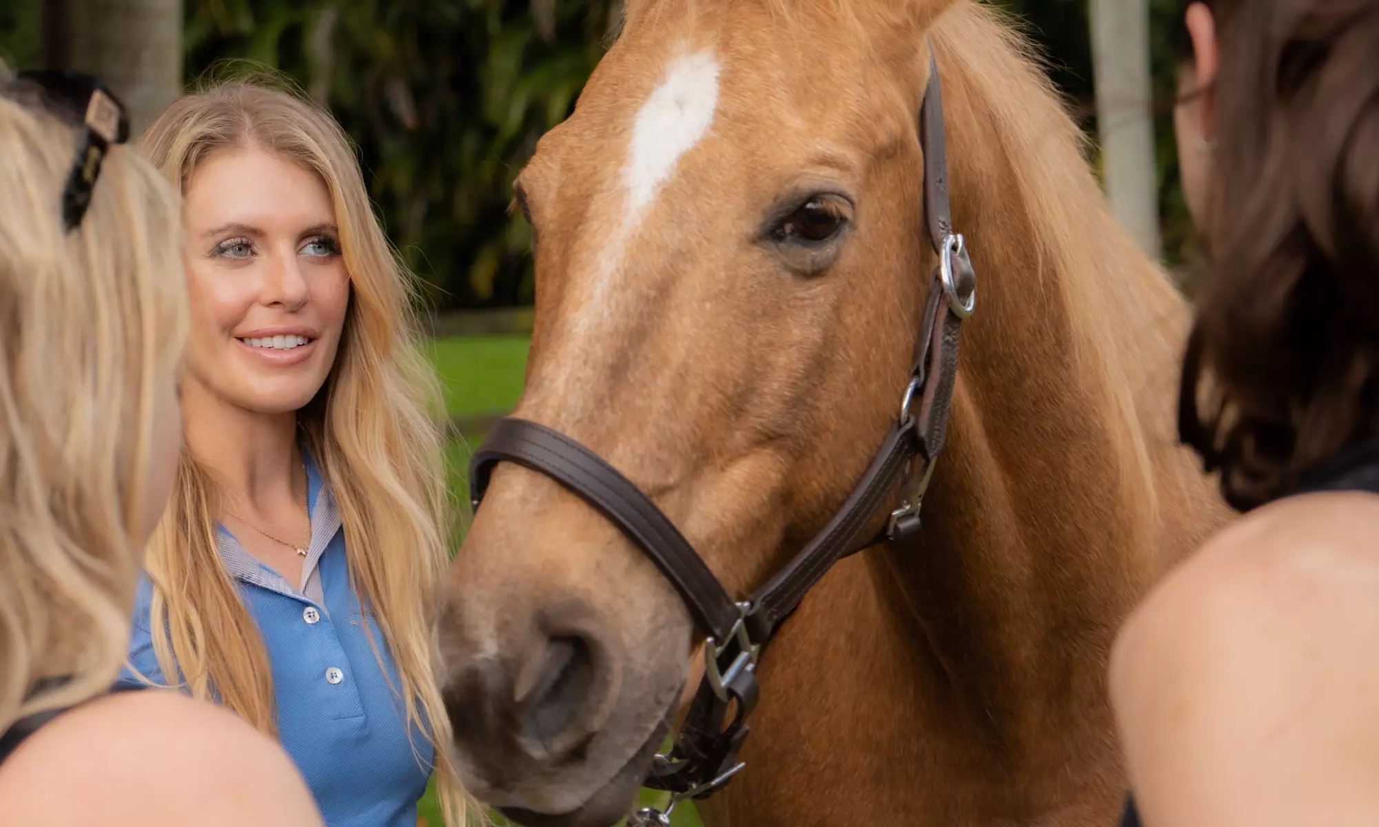 Equine Yoga & Meditation – Reconnect with Horses