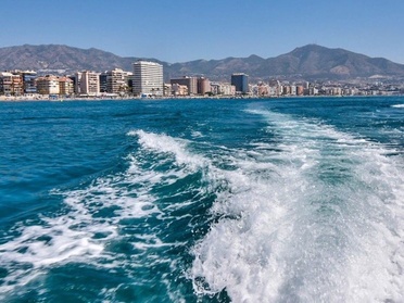 Para 2 adultos: Excursión en catamarán en busca de delfines