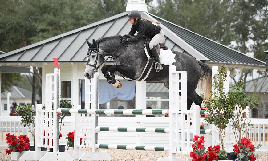 Image 1: Up to 30% Off on Horse Back Riding at Arrow A Farms