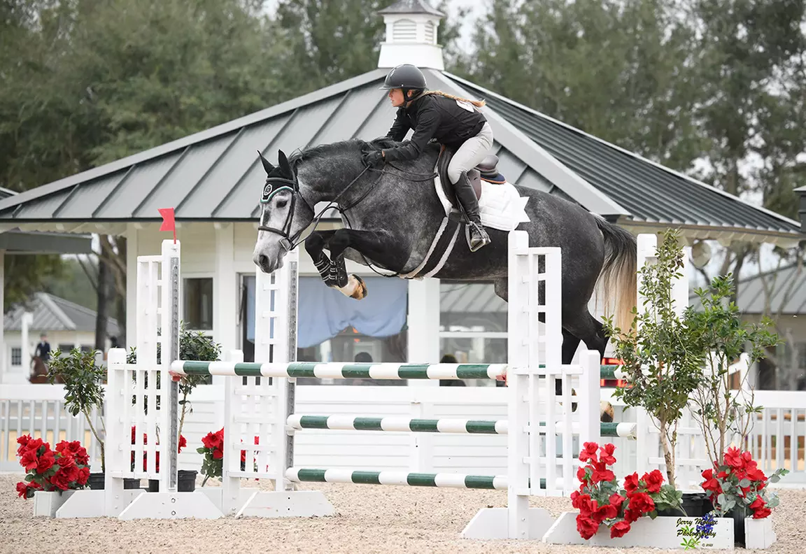 Up to 25% Off Horseback Riding Lessons & Specialized Training