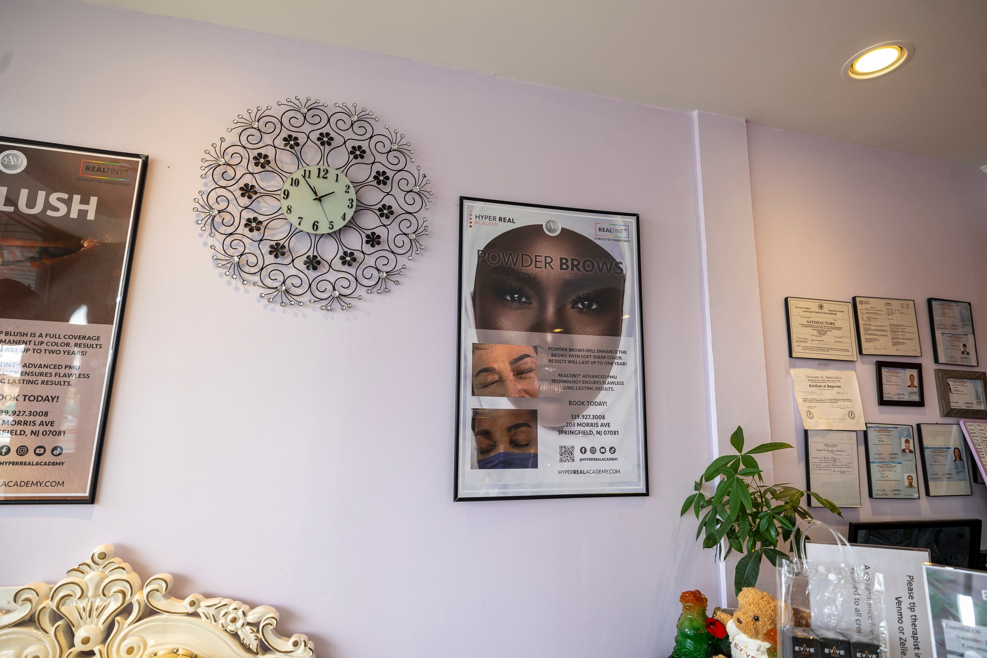 Signature Facial or Massage and Facial Spa Package at EVIVE Spa - Springfield
