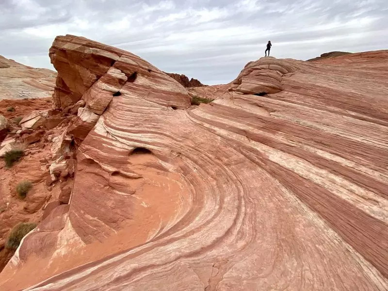 Explore the Valley of Fire with Las Vegas as your Starting Point