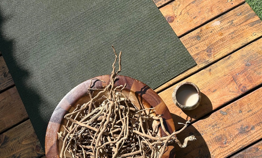 Image 5: Be Part of Vinyasa Yoga & Kava Ceremony at Santa Monica