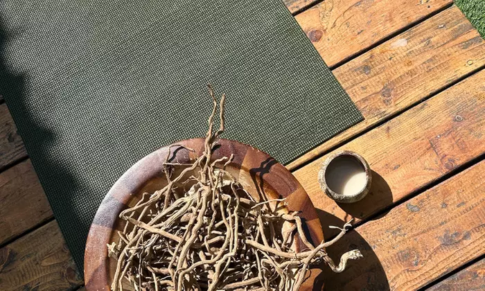 Be Part of Vinyasa Yoga & Kava Ceremony at Santa Monica