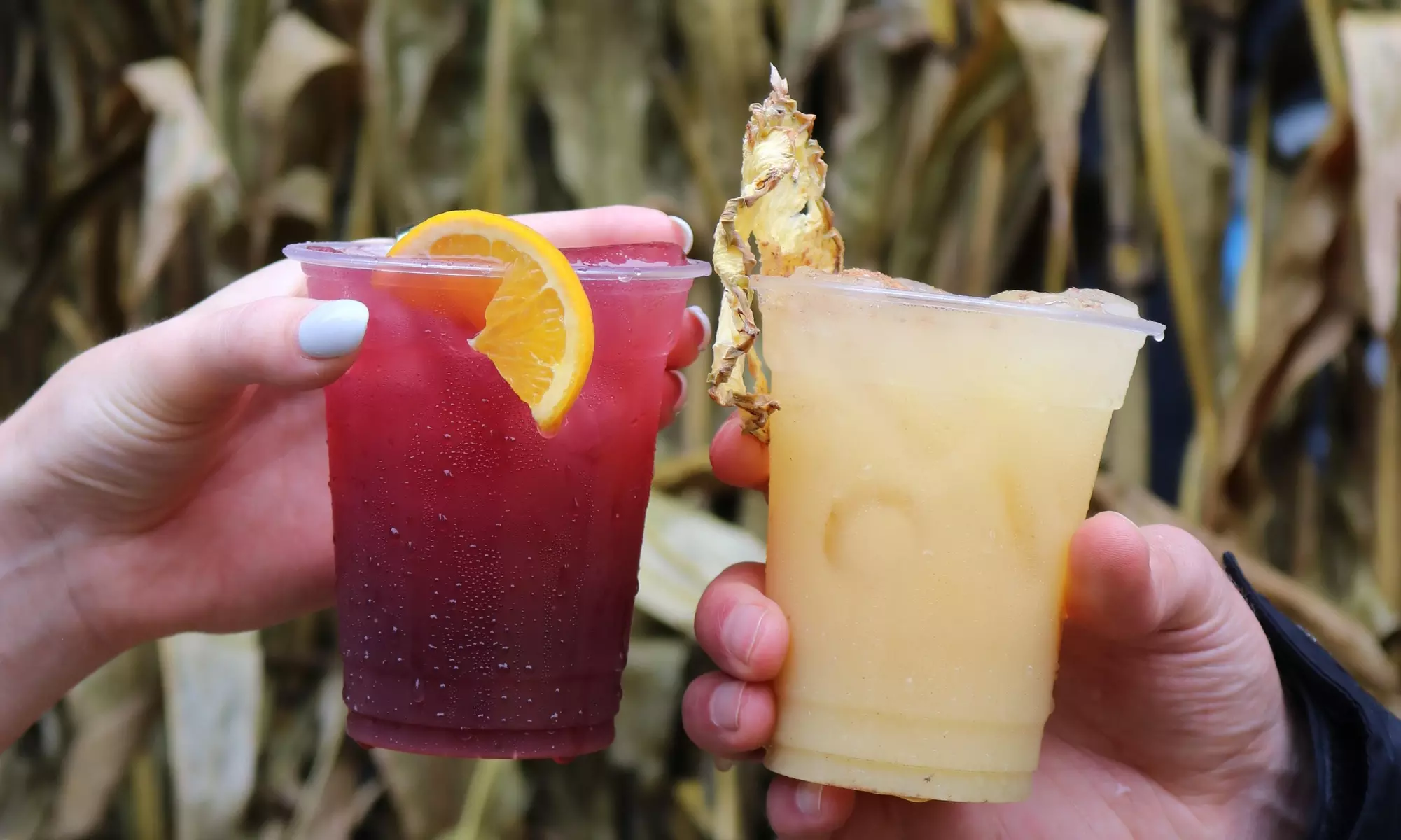 Chicago Riverwalk Fall Fest - Hayrides, Music & Autumn Fun!