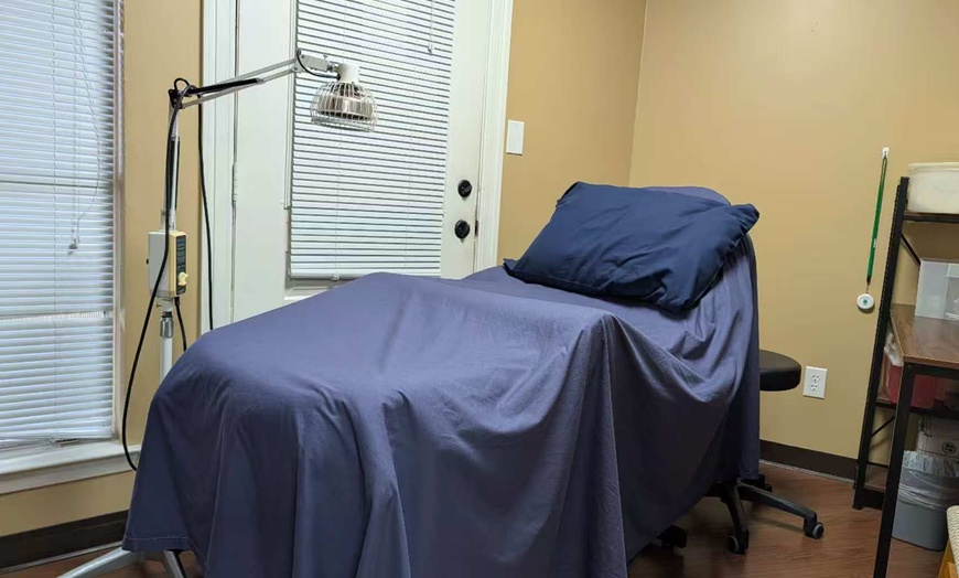 Image 5: Get One, Two, or Three Acupuncture Sessions for Pain Relief & Wellness