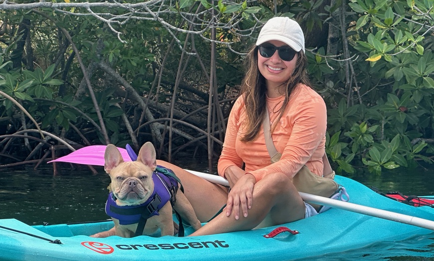Image 1: 2-Hour Guided Clear or Regular Kayak Eco Tours (6+) for One / Two