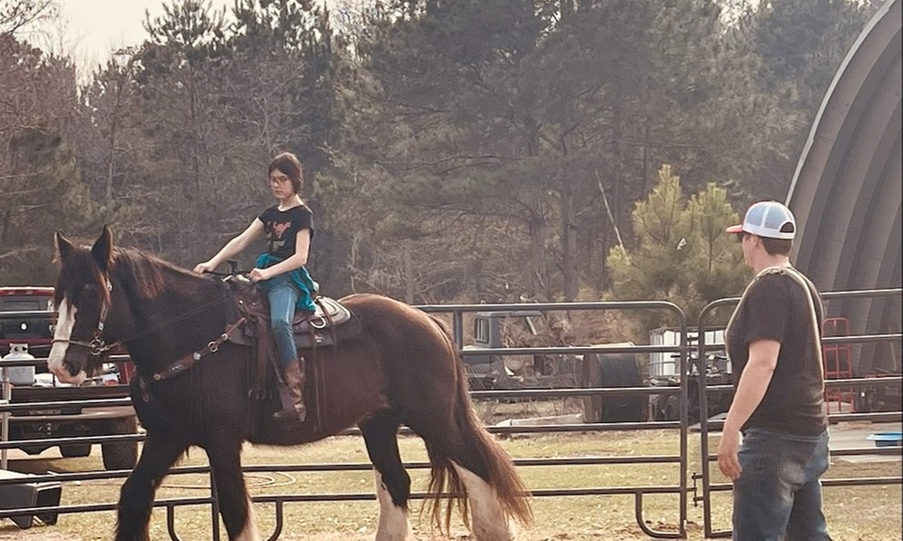 Personalized Horseback Riding Training Sessions
