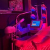 Image 3: Up to 88% Off on Non-Surgical Butt Lift at LuLu Spa