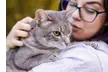 Your First Introduction Meeting for Expert In-Home Cat Sitting Services Across Bellevue, Redmond & More (50%) - Second Medium