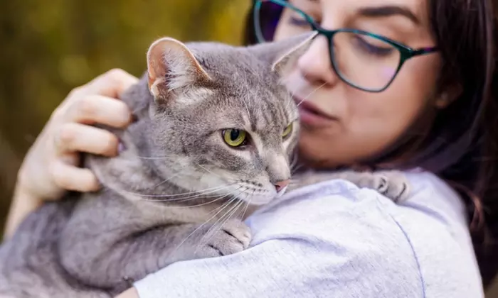First Intro Meeting for Expert Cat Sitting