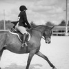 Image 1: Up to 53% Off on Horse Back Riding at Cobb Creek Riding Academy
