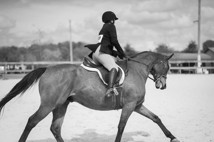 Horsemanship Lesson for One - Cobb Creek Riding Academy