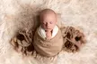 Celebrate your Child with In-Home Newborn Baby Photoshoot at Willow & Thistle Photography - 80% Off - Second Medium