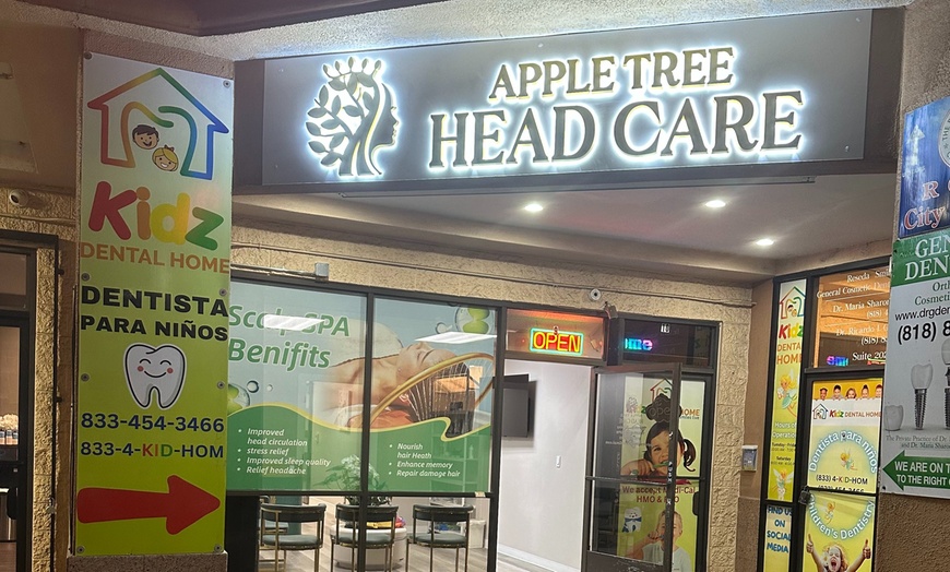 Image 10: Scalp Spa and Facial Service Deal 