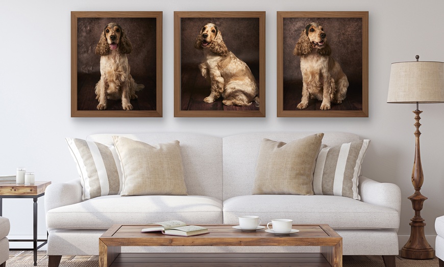 Image 4: Up to 75% Off on Photo Shoot - Pet at Emotion Studio