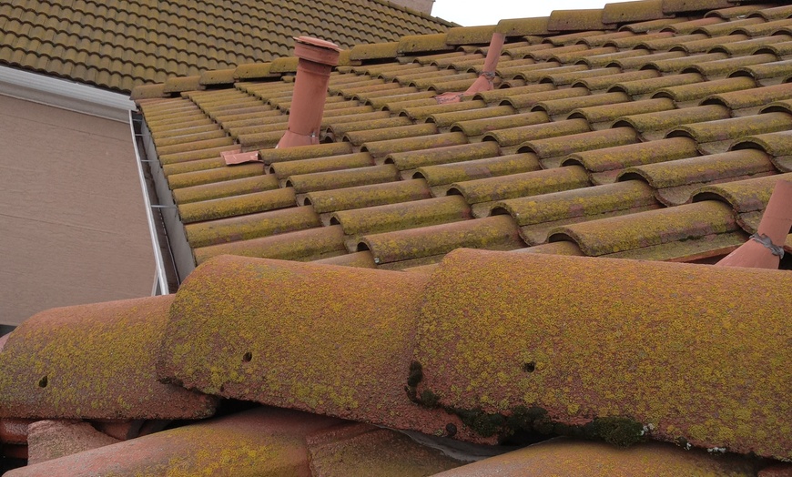 Image 3: Experience Bear Clean Service's roof washing for homes up to 2100 sq ft with a fantastic offer of up to 34% off