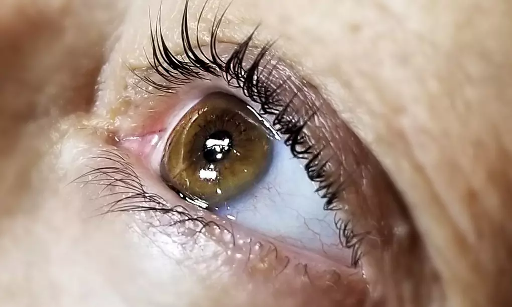 Get Lash Lift and Tint with Free Facial Waxing