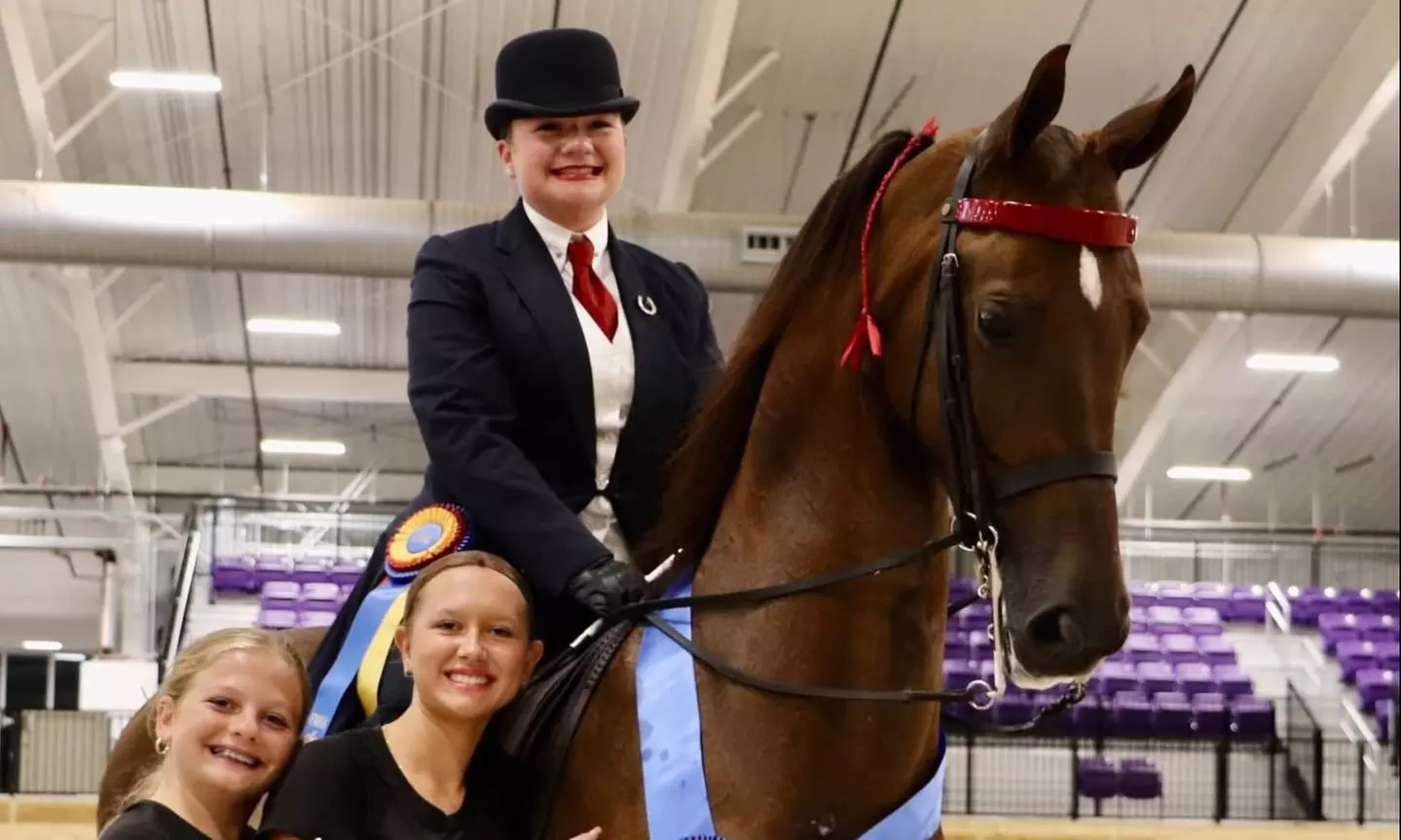 Enjoy Horse Back Riding Introductory Lesson - Great for Beginners!