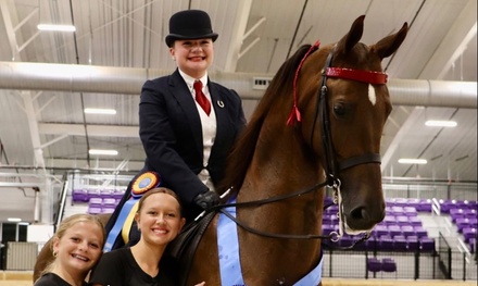 Introductory Horseback Riding Lesson - Paragon Stables Palmetto, Florida