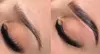 Up to 30% Off on Eyebrow Tinting at Katherine Hiller Brow and Beauty Bar