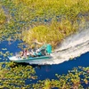 Image 1: Everglades Airboat Ride & Alligator Show with Miami Transportation