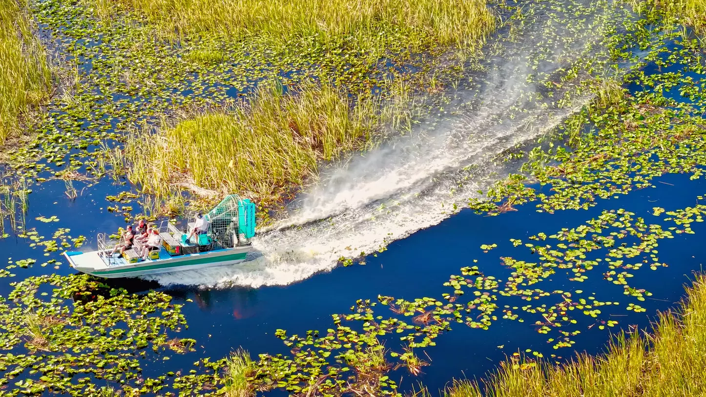Everglades Airboat Ride & Alligator Show with Miami Transportation