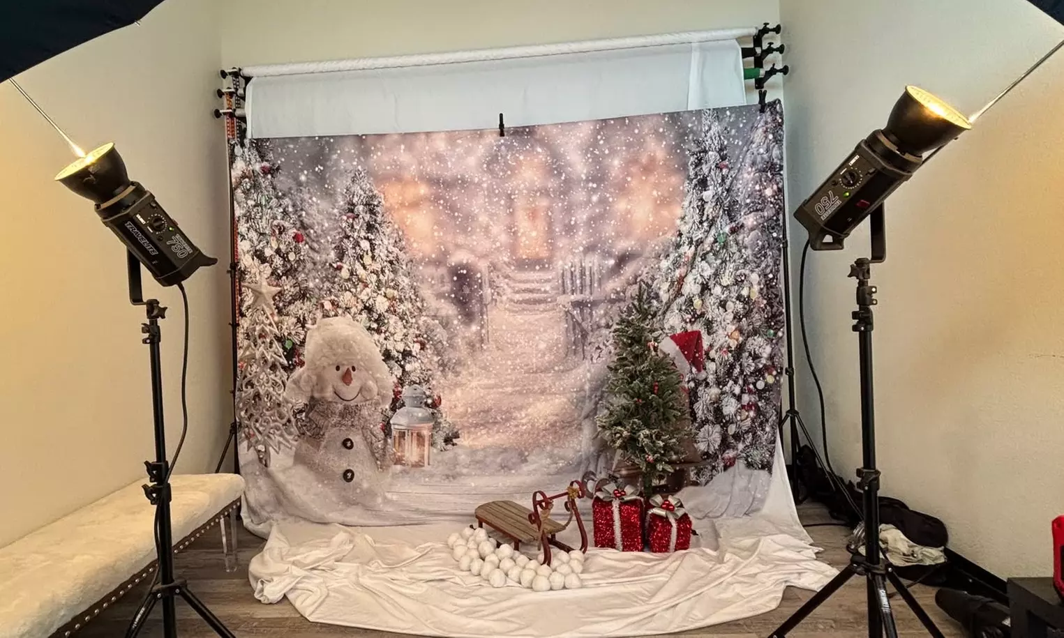 Christmas Photo Session with Digital Package