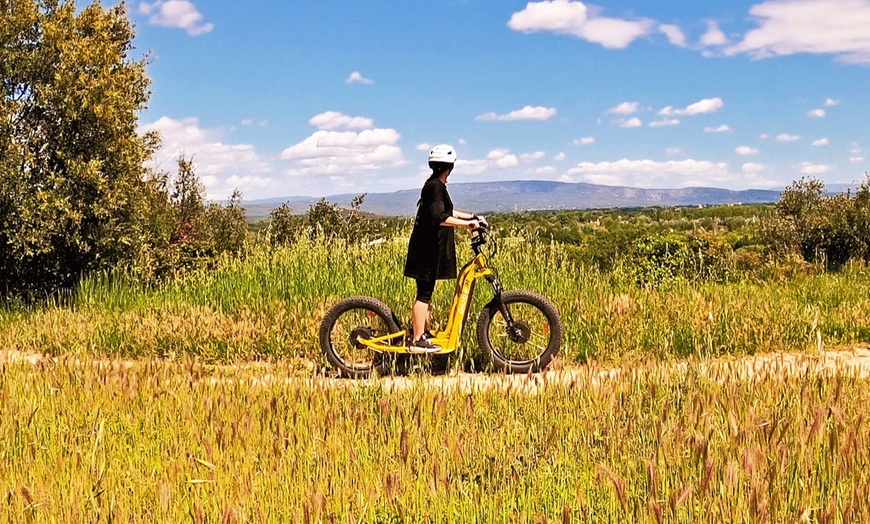 Image 8: Trottinette électrique tout terrain au cœur de la nature
