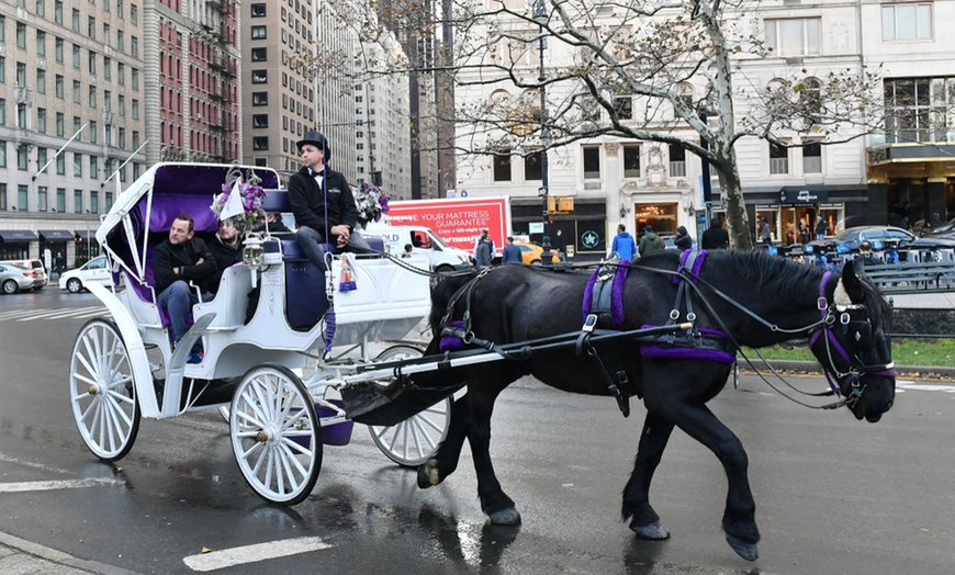 Image 4: Discover NYC Fancy Rides' enchanting 45-minute Central Park horse carriage tour, offering up to 24% off for a nostalgic journey.