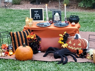 Sunshine & Simplicity Picnic Setup for up to 4 People - 2 Hours - Rise and Sunshine Picnics