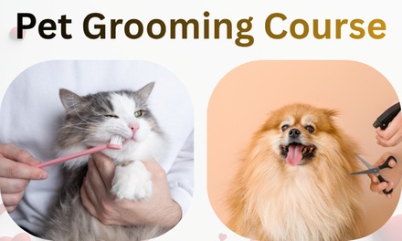 Concepts of Dog Grooming! - Skills Pack