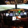 Image 8: Flight Simulator (Ride / Experience) at Manchester Flight Sim Centre