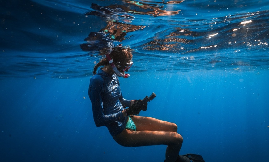 Image 3: Snorkeling Trip for Up to Four – Boynton Beach