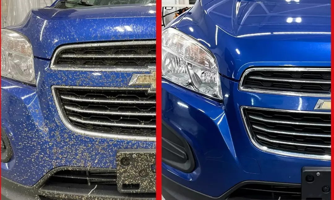 3 Pack- Exterior Basic Exterior Hand Wash, Standard Full Detail & More