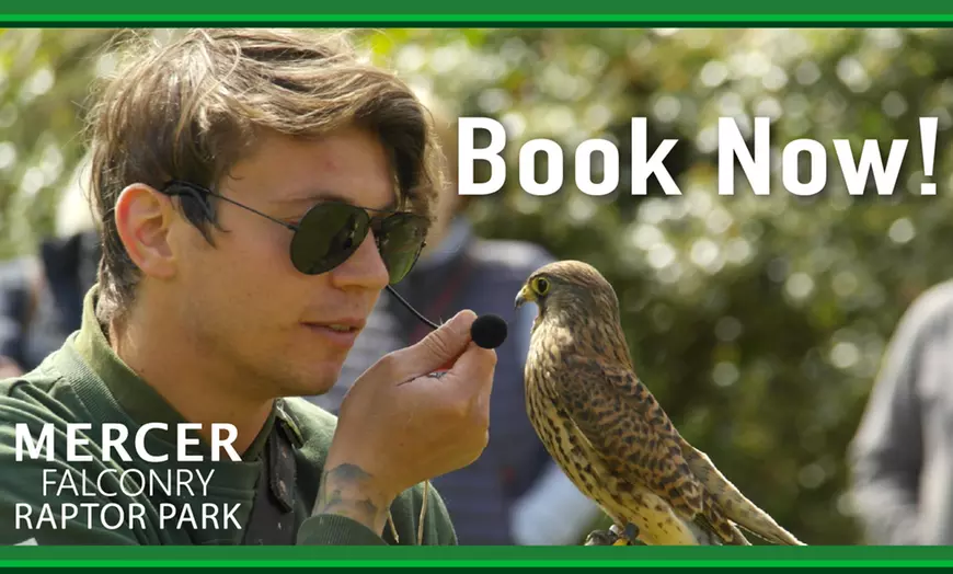 Image 8: Enjoy a 1/2 Hr Falconry Experience for all ages 4+ at Mercer Falconry