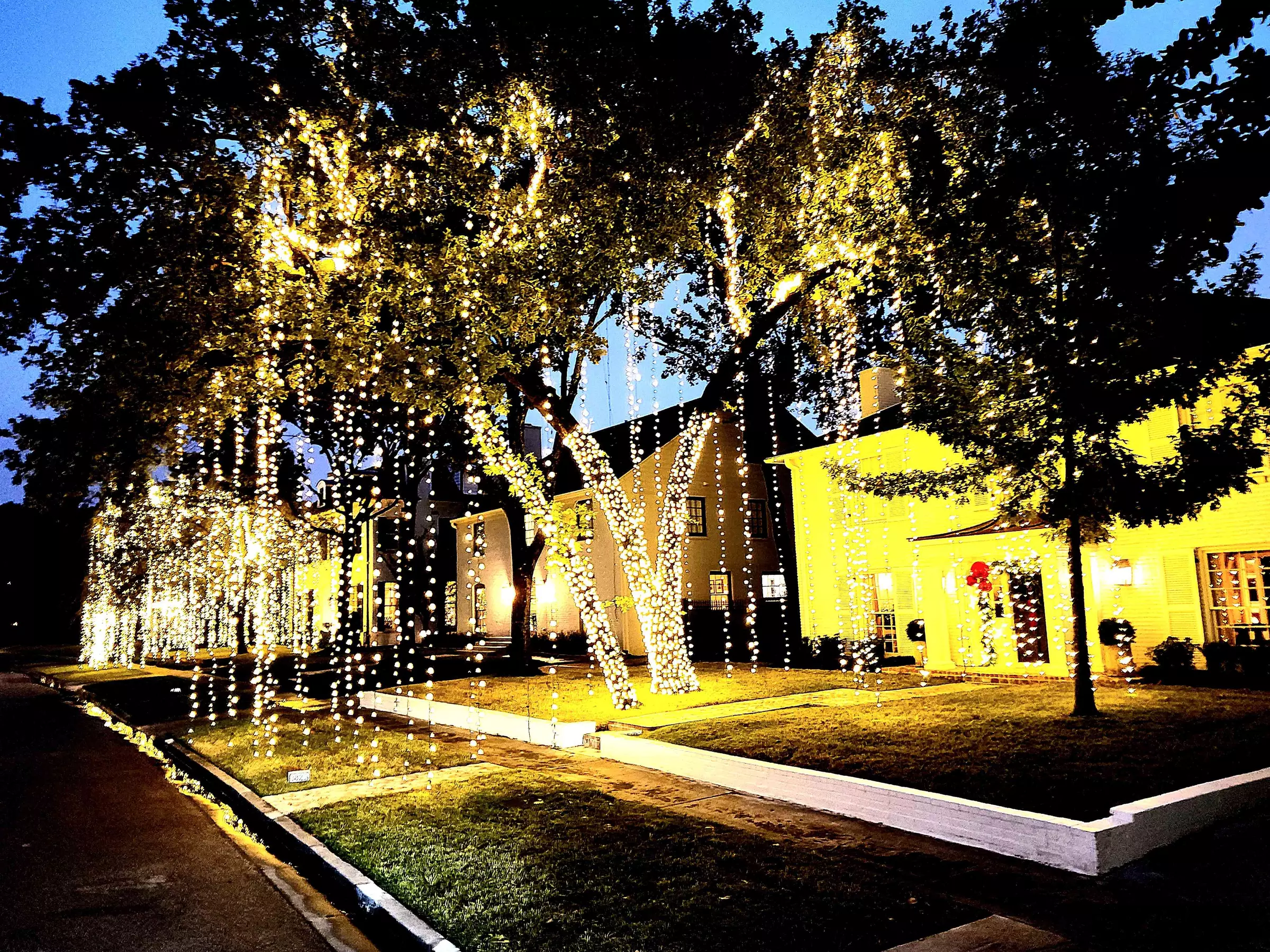 45Mins Houston Christmas Lights Tour Hayride: 1, 5, 10, 20 & 30 People