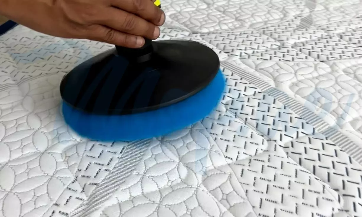 Complete Sofa & Mattress Deep Cleaning & Steam Sanitization Service