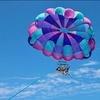 Image 6: Panoramic Catalina Parasailing For Solo Adventurers and Groups